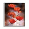 Stupell Industries Red Poppies Rising Vibrant Floral Blossoms view 1