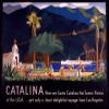 Iconic Arts Catalina Island Vintage Travel Laminated 24x36 Poster view 1