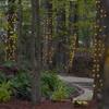 70 Warm White LED StretchNet Pro Expandable Christmas Net Lights for Medium Trees - 21" x 31" Stretchable Net - Brown Wire Trunk Wrap view 4