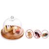 8-12 Inch Cake Dome, Household Glass Food Preservation Cover Cafe Tray Snack Tasting Tray Wooden Plate Glass Dome (Size : 212114CM) view 4