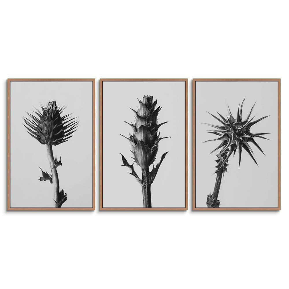 SIGNWIN 3 Piece Framed Canvas Wall Art Illustration Canvas Prints Home Artwork Decoration for Living Room,Bedroom - 16"x24"x3 Panels