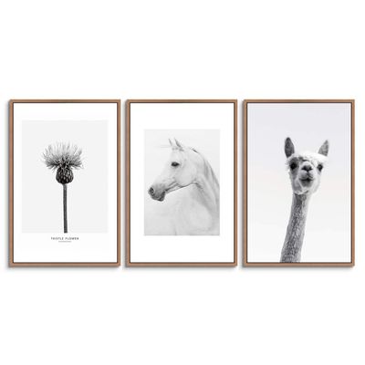 SIGNWIN 3 Piece Framed Canvas Wall Art Cute Giraffe Canvas Prints Home Artwork Decoration for Living Room,Bedroom - 16"x24"x3 Panels