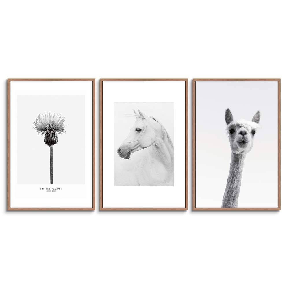 SIGNWIN 3 Piece Framed Canvas Wall Art Cute Giraffe Canvas Prints Home Artwork Decoration for Living Room,Bedroom - 16"x24"x3 Panels