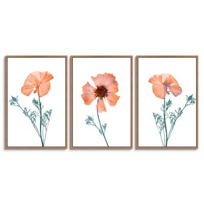 SIGNWIN 3 Piece Framed Canvas Wall Art Colorful Flowers Canvas Prints Home Artwork Decoration for Living Room,Bedroom - 16"x24"x3 Panels