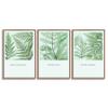 SIGNWIN 3 Piece Framed Canvas Wall Art Green Leaves Canvas Prints Home Artwork Decoration for Living Room,Bedroom - 16"x24"x3 Panels view 1