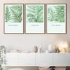 SIGNWIN 3 Piece Framed Canvas Wall Art Green Leaves Canvas Prints Home Artwork Decoration for Living Room,Bedroom - 16"x24"x3 Panels view 2