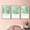 SIGNWIN 3 Piece Framed Canvas Wall Art Green Leaves Canvas Prints Home Artwork Decoration for Living Room,Bedroom - 16"x24"x3 Panels view 3