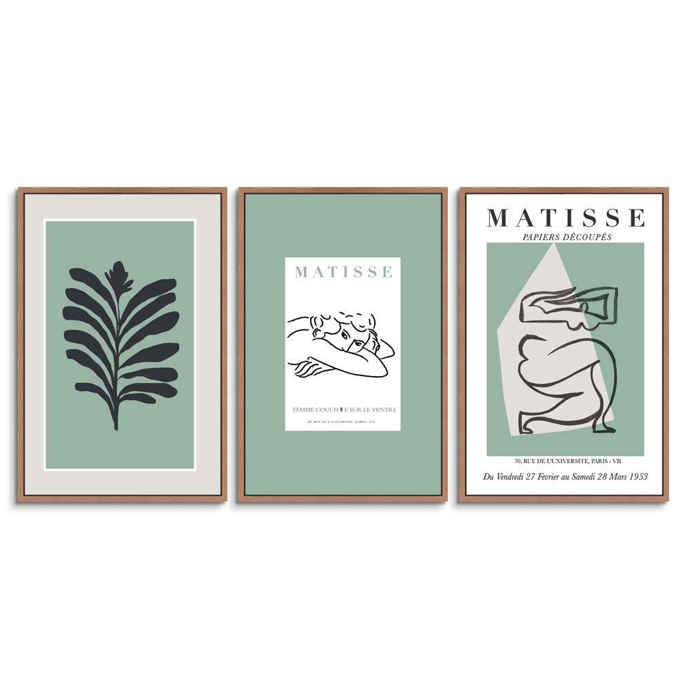 SIGNWIN 3 Piece Framed Canvas Wall Art Illustration Canvas Prints Home Artwork Decoration for Living Room,Bedroom - 16"x24"x3 Panels