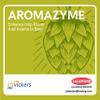 ABV Aromazyme view 1