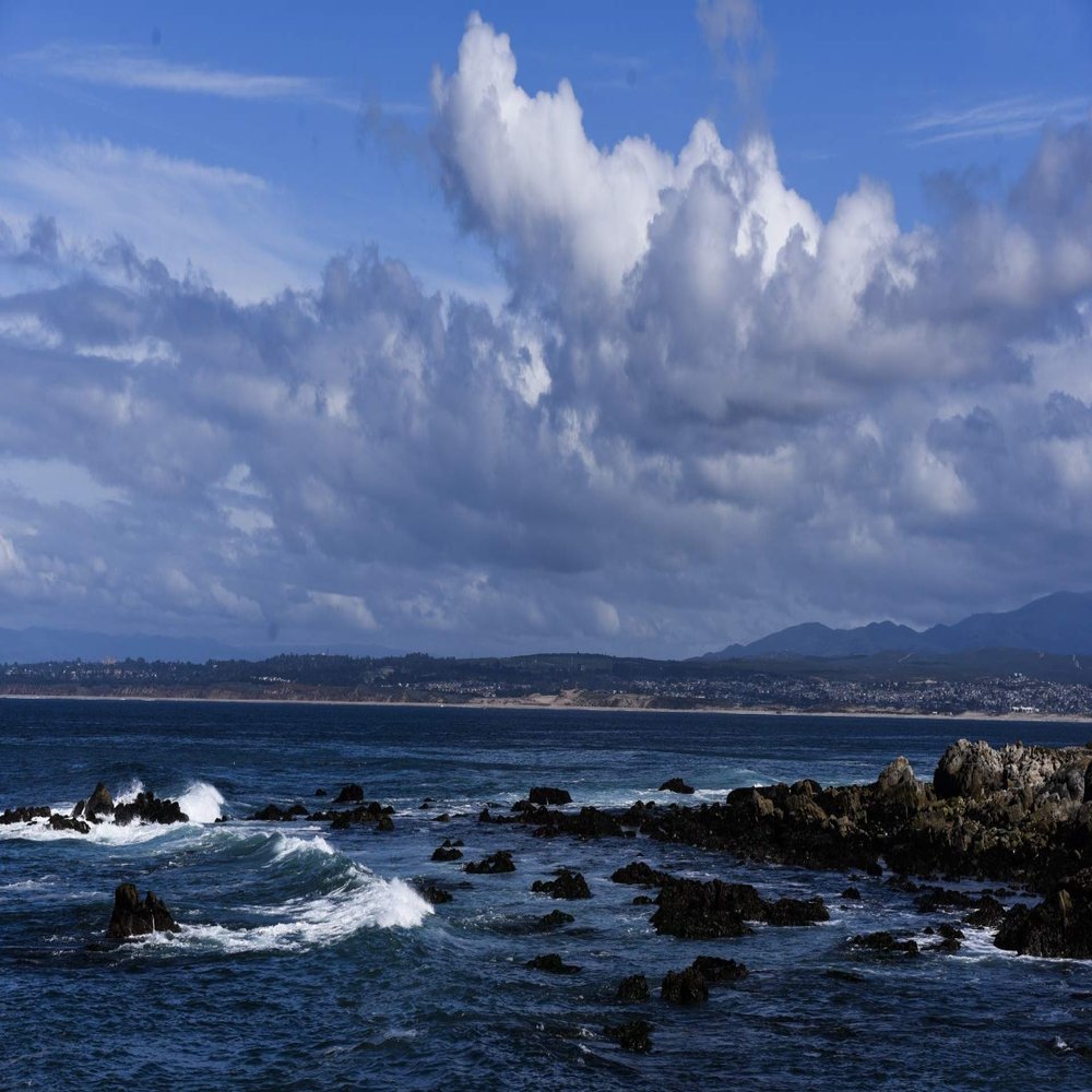 Iconic Arts Ocean Scenic View Water Asilomar State Beach Laminated Poster 24x36