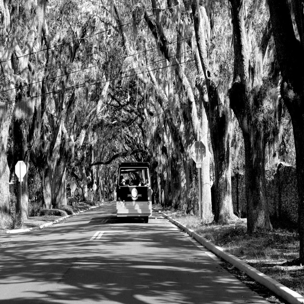 Iconic Arts B/W Magnolia Street Laminated Poster 18x24
