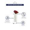Badash Donovan Crystal Glass Bud Vase - 10" Tall Handcrafted Lead-Free Optical Crystal Glass Vase for Flower Buds & Unique Contemporary Home Decor Accent view 3