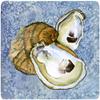 Oyster Foam Coasters - Set 4 view 1