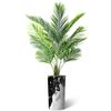 Artificial Tree in Contemporary Granite Effect Planter, Fake Areca Tropical Palm Silk Tree for Indoor and Outdoor Home Decoration - 66" Overall Tall (Plant Pot Plus Tree) view 2