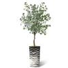 Artificial Tree in Contemporary Planter, Fake Areca Tropical Palm Silk Tree for Indoor and Outdoor Home Decoration - 66" Overall Tall (Plant Pot Plus Tree) view 2