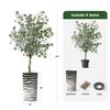 Artificial Tree in Contemporary Planter, Fake Areca Tropical Palm Silk Tree for Indoor and Outdoor Home Decoration - 66" Overall Tall (Plant Pot Plus Tree) view 3