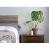 HomeRoots Pack of 6 Rustic Natural Weathered Gray Wood Planks view 3