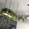 Ceiling Shelf Kitchen Pot Rack / Pan Rack Hanging Shelving Creative Ceiling Flower Stand Cookware Hanger Storage for Bar Cellar Garage Restaurant, Living Room Balcony Decoration ( Size : 1002515cm ) view 2