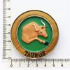 3D Constellation Taurus Fridge Magnet Home Kitchen Refrigerator Decor Magnetic Sticker view 3