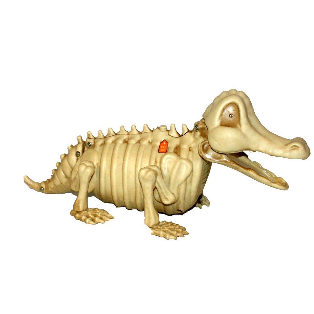 Animated Skeleton Baby Alligator