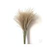 Dreamture Real Pampas Grass Decor Natural Dried Flowers Plants Wedding Flowers Dry Flower Bouquet Fluffy Lovely for Holiday Home decor-50pcs Small Pampas-M view 1