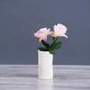 Ceramic Small Vase Home Office Living Room Desktop Dining Table Worktop Vase Dried Flower Simulation Flower Decoration Vase 28 x 8 x 7.7 cm, 15 x 7.8 x 7.1 cm, Pack of 2 view 4