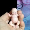 3D Baby Mold 699-019 Polymer Clay Sugarcraft Molds Cake Decorating Tools view 3