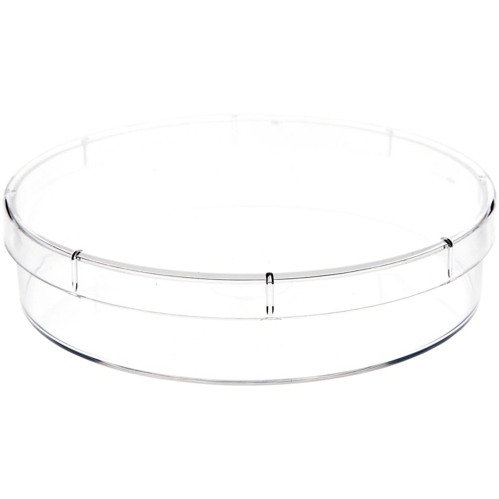 Pioneer Plastics 053C Clear Round Petri Dish Plastic Container, 4.6875" W x 1" H, Pack of 12