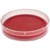 Pioneer Plastics 053C Clear Round Petri Dish Plastic Container, 4.6875" W x 1" H, Pack of 12 view 4