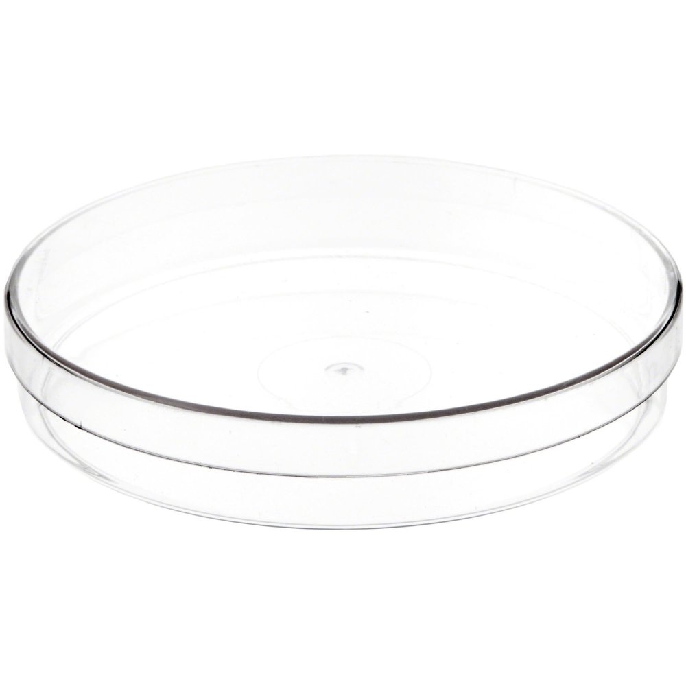 Pioneer Plastics 170C Clear Round Petri Dish Plastic Container, 6" W x 1" H, Pack of 12