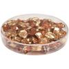 Pioneer Plastics 170C Clear Round Petri Dish Plastic Container, 6" W x 1" H, Pack of 12 view 2