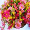 Home and Outdoors Silk Chain Hanging Basket Flowerpot Flowers Artificial Daisy Red Flowers and Pink Flowers (Medium Basket) view 4