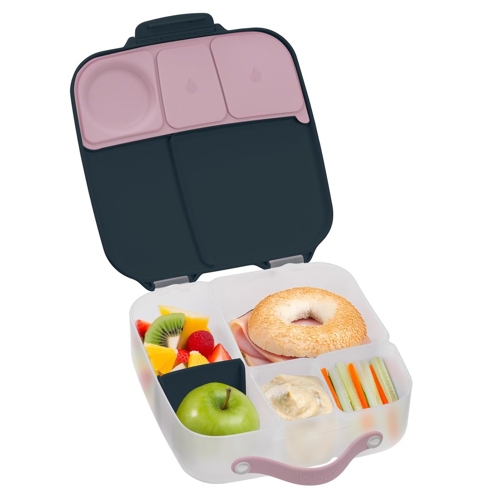 b.box Lunch Box for Big Eaters All Ages - 8.5 Cup Leak Proof Bento Box with 4 Compartments, School Lunch Container with Ice Pack, Dishwasher Safe, BPA-Free, PFAS-Free - Indigo Rose