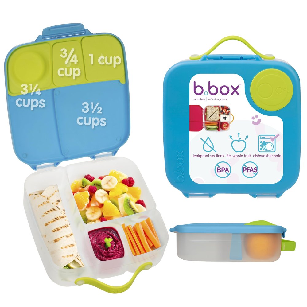 b.box Lunch Box for Big Eaters All Ages - 8.5 Cup Leak Proof Bento Box with 4 Compartments, School Lunch Container with Ice Pack, Dishwasher Safe, BPA-Free, PFAS-Free - Ocean Breeze