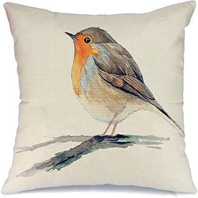Decorative Square Throw Pillow Cover Cushion Pillowcase Robin Redbreast Drawing Wild Bird Paint On White Branch European Animals Wildlife Nature Objects Home Decor Decoration for Sofa 20x20 Inch