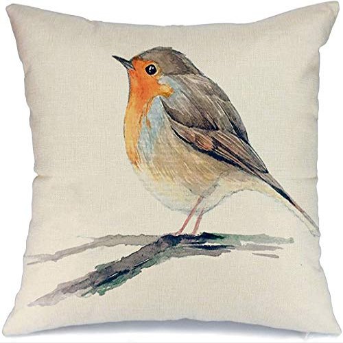 Decorative Square Throw Pillow Cover Cushion Pillowcase Robin Redbreast Drawing Wild Bird Paint On White Branch European Animals Wildlife Nature Objects Home Decor Decoration for Sofa 20x20 Inch