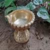Bharat Haat Brass Diya with Round Base Divi Oil Lamp Medium Diya Designing Base Deepak Idol Bird Home Statue Showpieces Handicraft Art (3.8 x 4 x 2.5 inch, Yellow) view 1