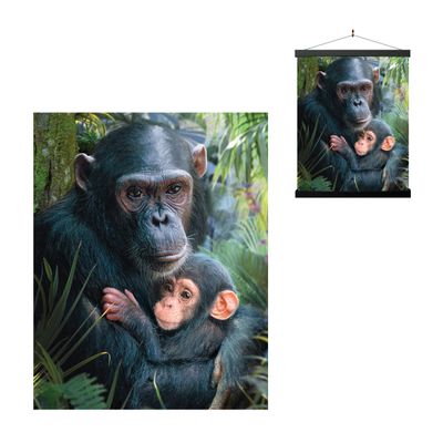 3D LiveLife Lenticular Wall Art Prints - Cute Cuddles from Deluxebase. Unframed 3D Chimpanzee Poster. Perfect wall decor. Original artwork licensed from renowned artist, David Penfound