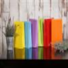 Matissa 12 Small Paper Gift Bags with handles plain color 9" x 6" x 3" (Rainbow/Multicolor) view 3
