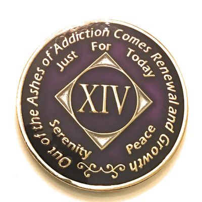 14 Year NA Deep Purple Medallion -Chip, Coin, Token
