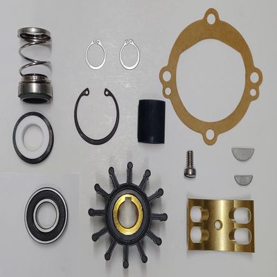 StayCoolPumps SCP-12252 Major Repair Kit Replaces Sherwood 12252 for Pumps P10610G, P10700G, R10955G
