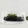 Flat Round Vase, Thicken Glass Vase Narcissus Water Lily Decorative Vase Glass Transparent Fish Tank(Size:25 * 25 * 10CM) view 3
