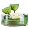 Flat Round Vase, Thicken Glass Vase Narcissus Water Lily Decorative Vase Glass Transparent Fish Tank(Size:25 * 25 * 10CM) view 4