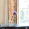 1pc Creative Semitransparent Acrylic Flower Vase for Home Decoration Unique Plant Container for Indoor and Office Use Elegant Centerpiece for Parties and Events view 4