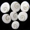 Golden Drops Gomti Chakra Set of 100 Piece 1 Piece Free Gomti Chakra for Goddess Lakshmi view 2