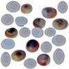 Golden Drops Gomti Chakra Set of 100 Piece 1 Piece Free Gomti Chakra for Goddess Lakshmi view 3