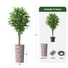 Artificial Tree in Contemporary Daisy Flower Pattern Planter, Fake Ficus Silk Tree for Indoor and Outdoor Home Decoration - 75" Overall Tall (Plant Pot Plus Tree) view 3