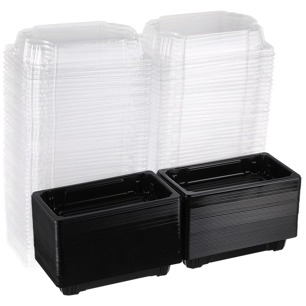 Cabilock 100pcs Sushi Trays with Lids Disposable Sushi Box Fruit Cake Carry Out Container Take Out Boxes for Cake Food Fruit Cupcake Bread Candy (Black)