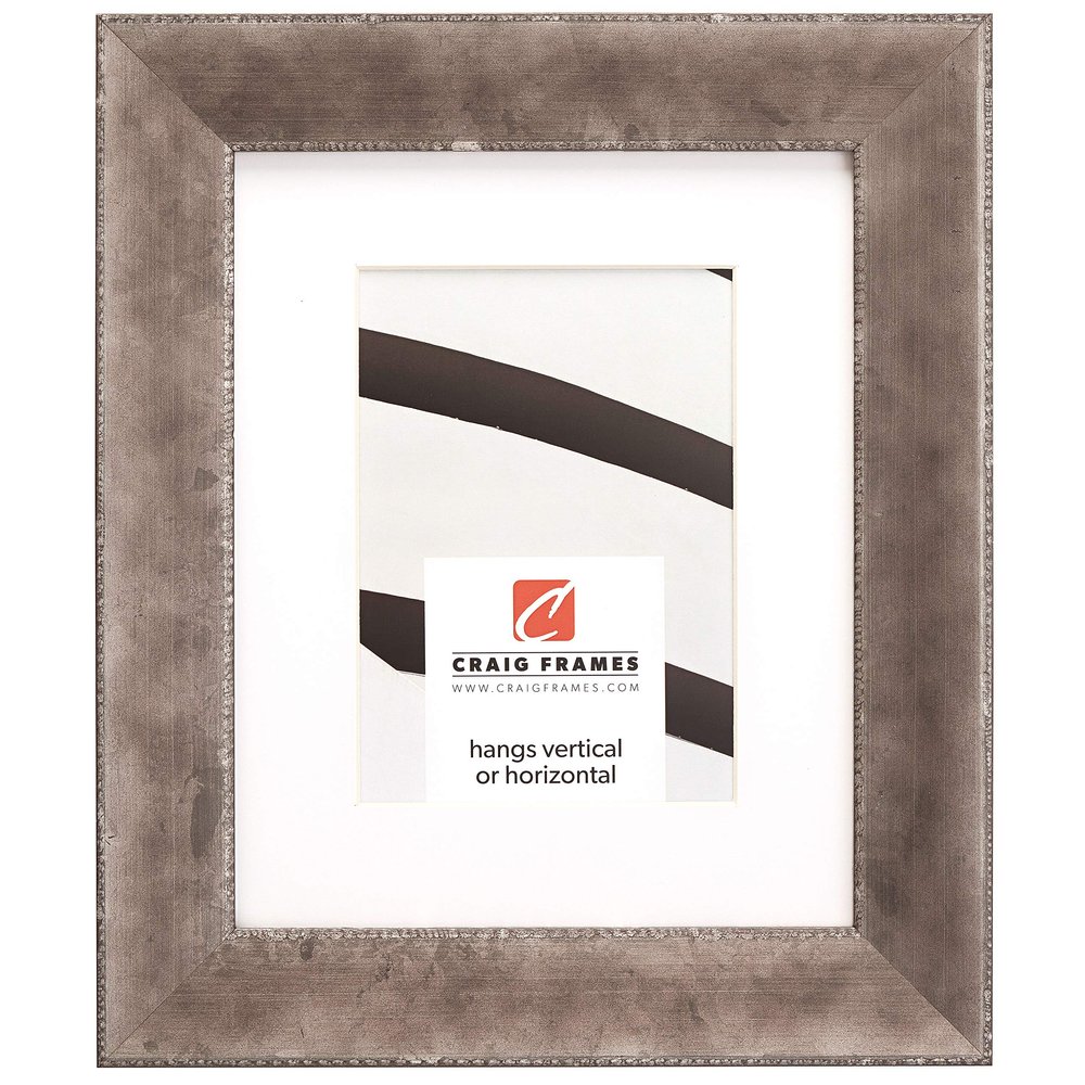 Craig Frames Patina 175, 20 x 27 Inch Picture Frame Matted to Display a 16 x 24 Inch Photo, Distressed Silver and Black