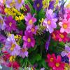 Outdoors and Home Silk Flowers Decoration Chain Hanging Basket Flowerpot Artificial Daisy Flower (Small Basket) view 4